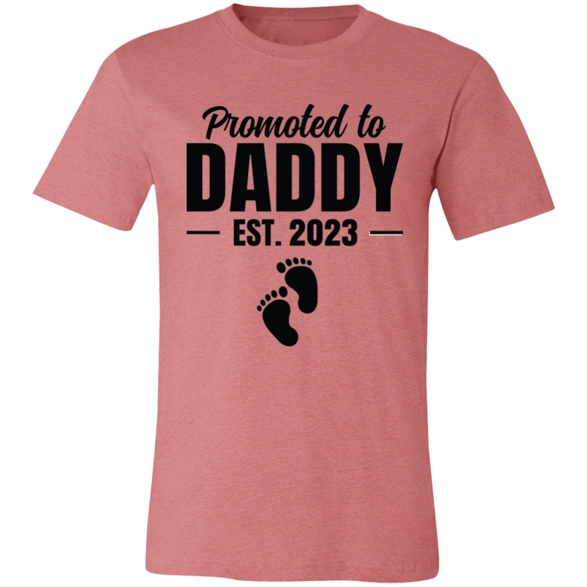 Promoted to Daddy T-Shirt