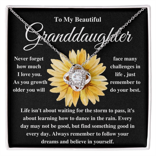 To My Beautiful Granddaughter | Always Remember to Follow Your Dreams| Necklace